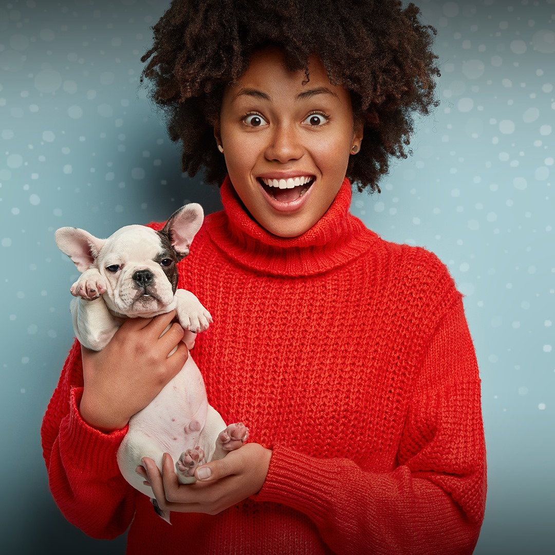 Petplan Pet Insurance - North America 3805 West Chester Pike Suite 240, Newtown Square