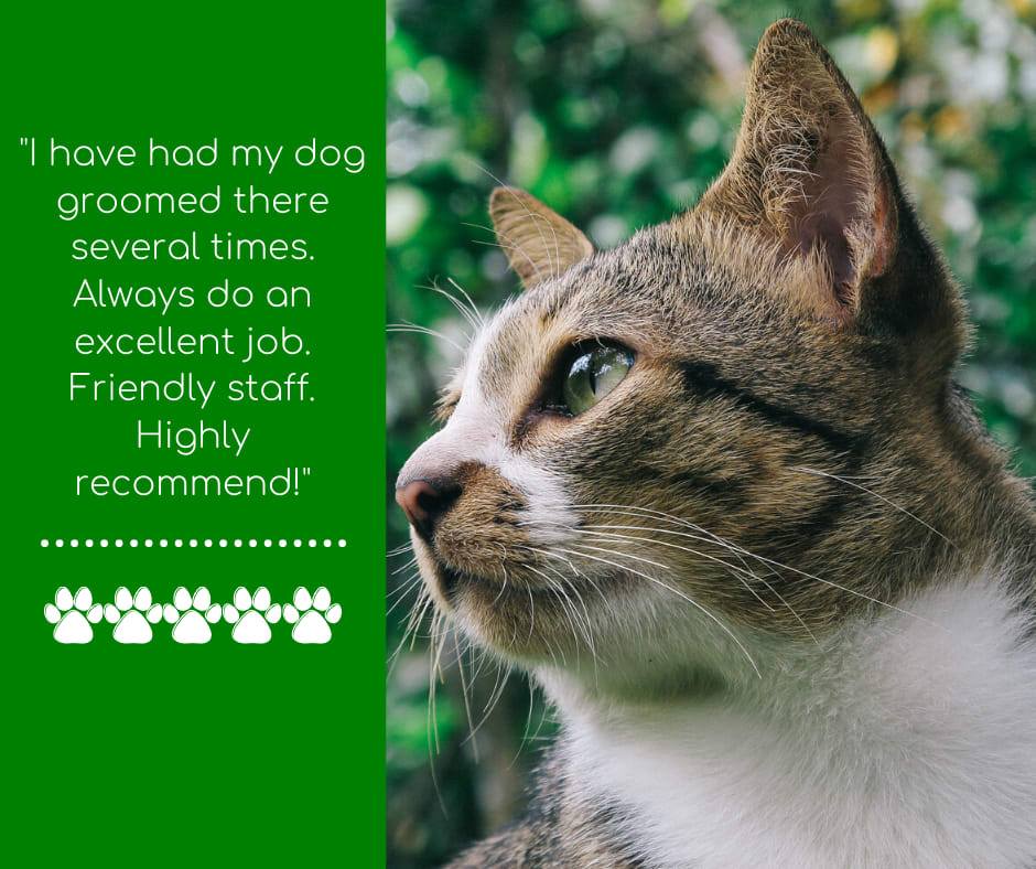 Pet Supplies Plus Warrington 1661 Easton Rd Unit B1, Warrington