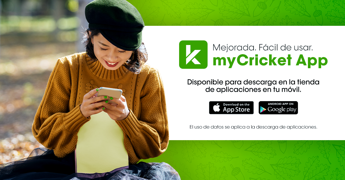 Cricket Wireless Providence