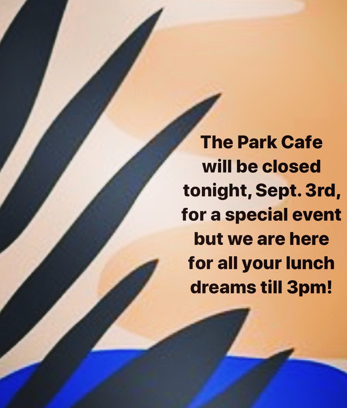 The Park Cafe 730 Rutledge Ave, Charleston