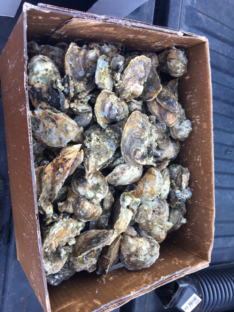 Clifton Seafood 2213 Decker Blvd, Columbia