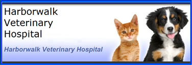 Harborwalk Veterinary Hospital