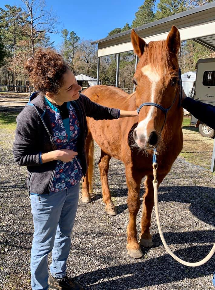 Equicare Veterinary Associates 180 Toms Creek Rd, Hopkins South Carolina 29061