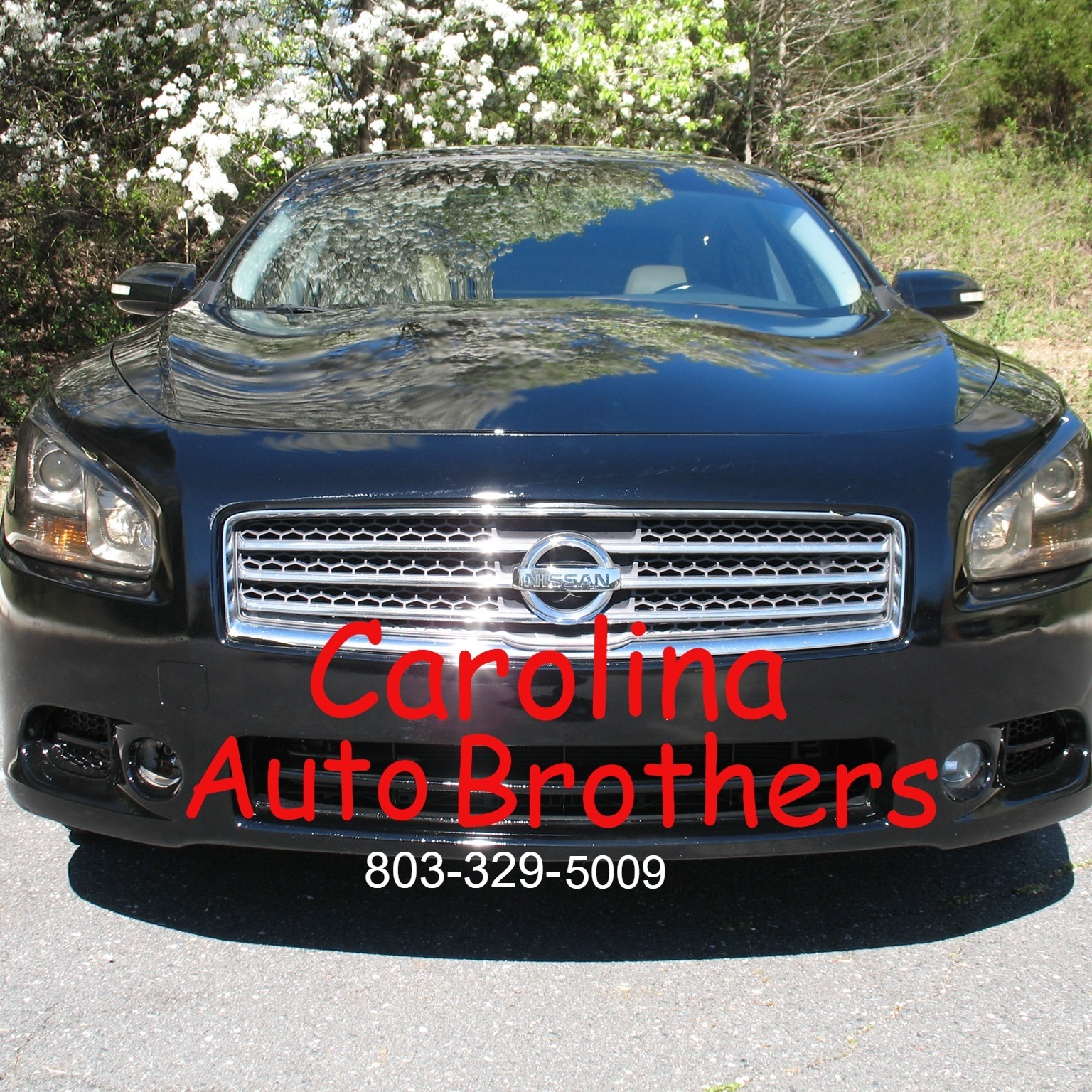 Carolina Auto Brothers