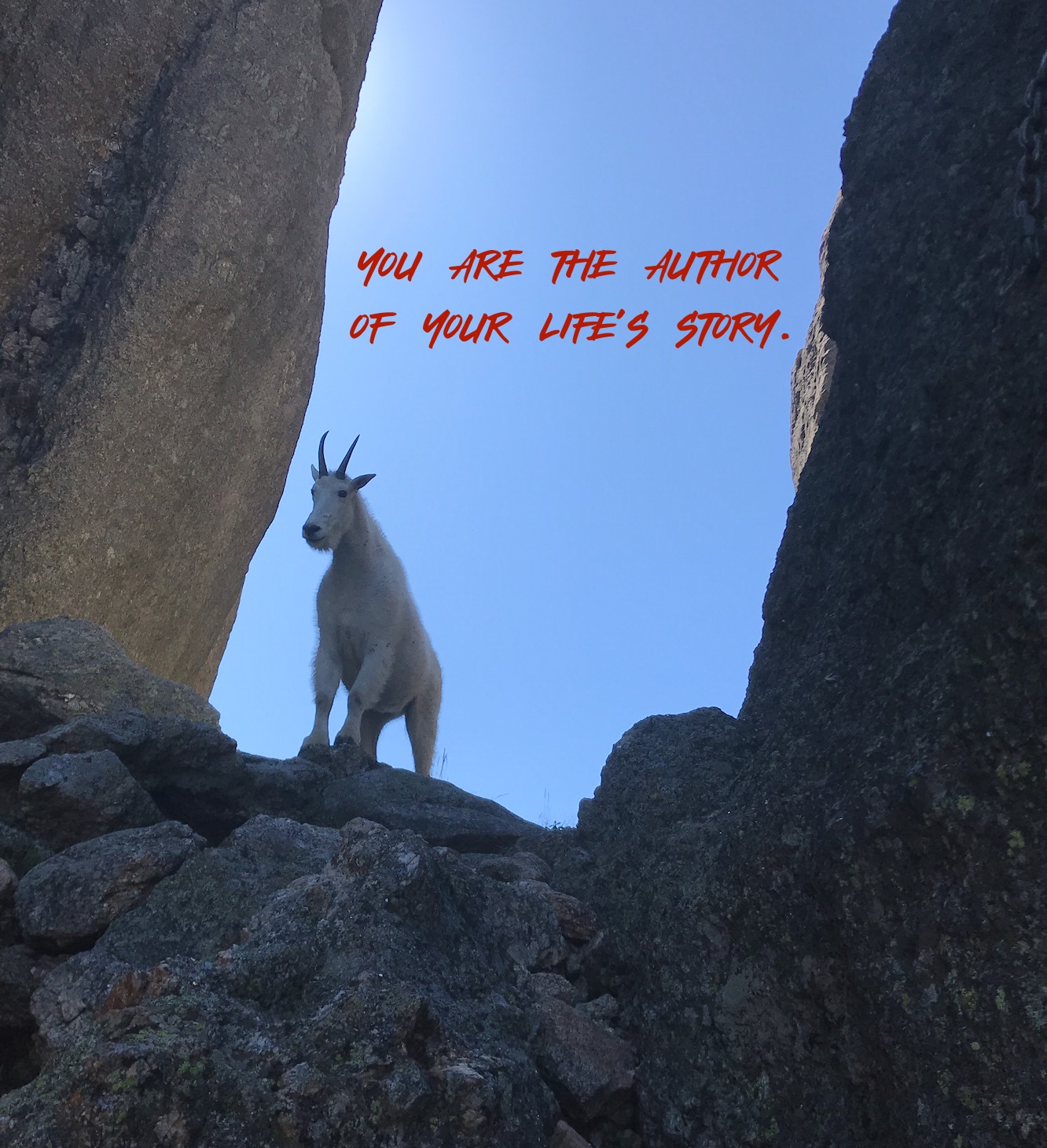 Sylvan Rocks Climbing School and Guide Service 757 Mt Rushmore Rd, Custer