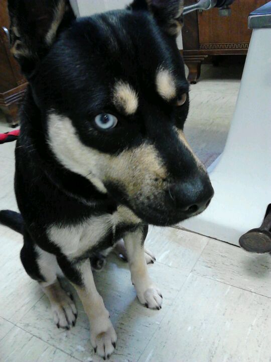 Lake Area Veterinary Clinic Watertown