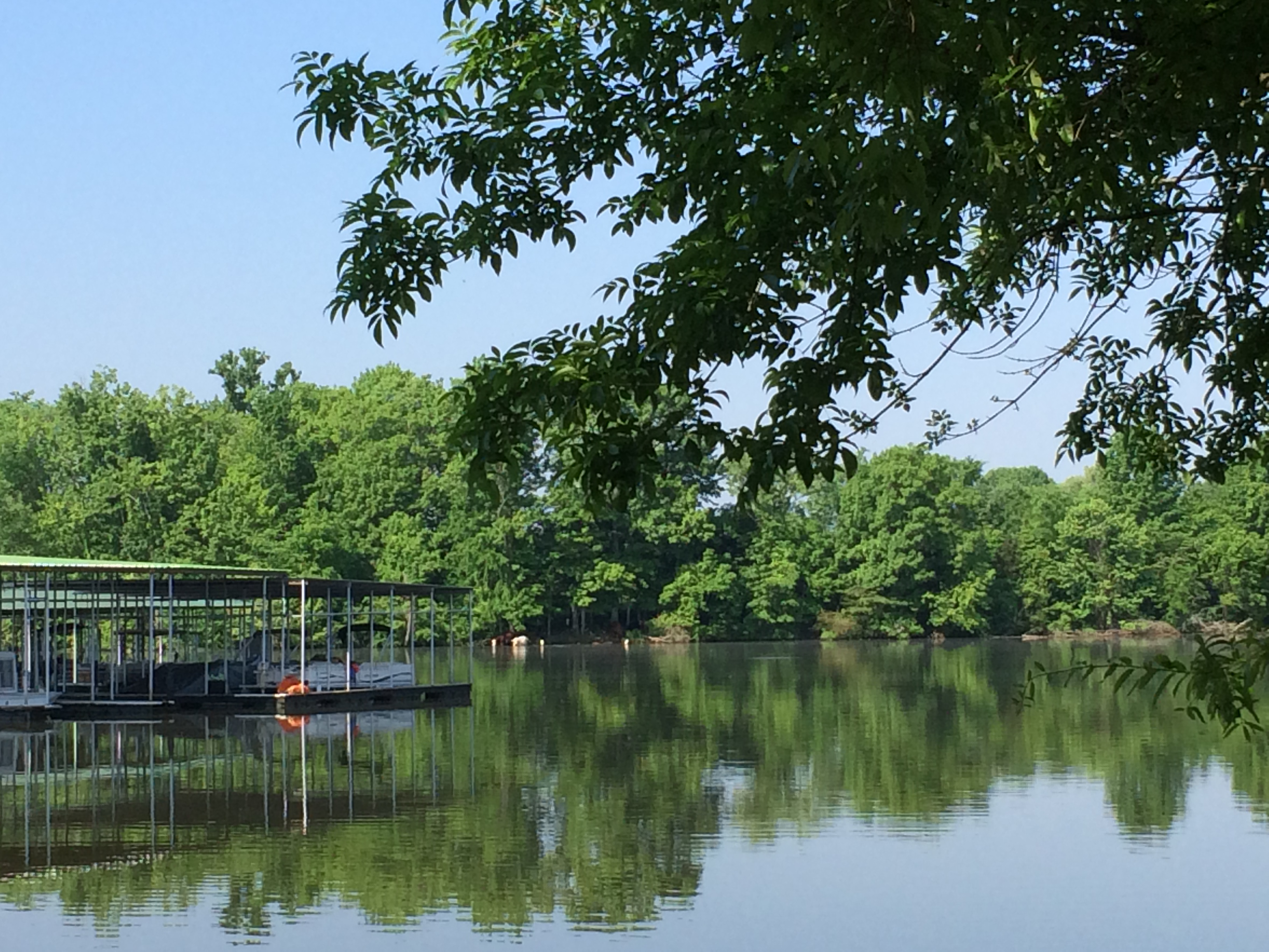 Shady Cove Resort, Marina & Campground LLC 1115 Shady Cove Rd, Castalian Springs