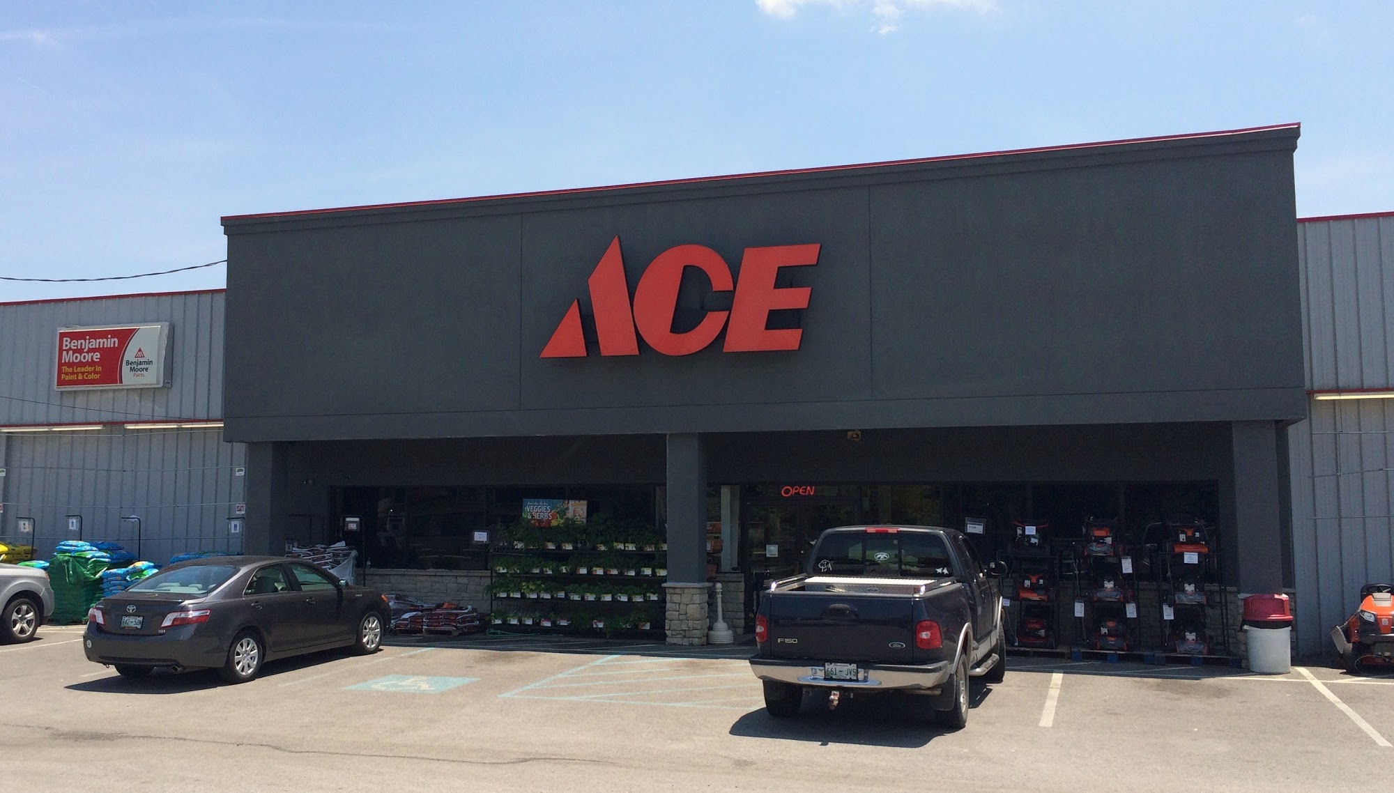 Ace Hardware of Lookout