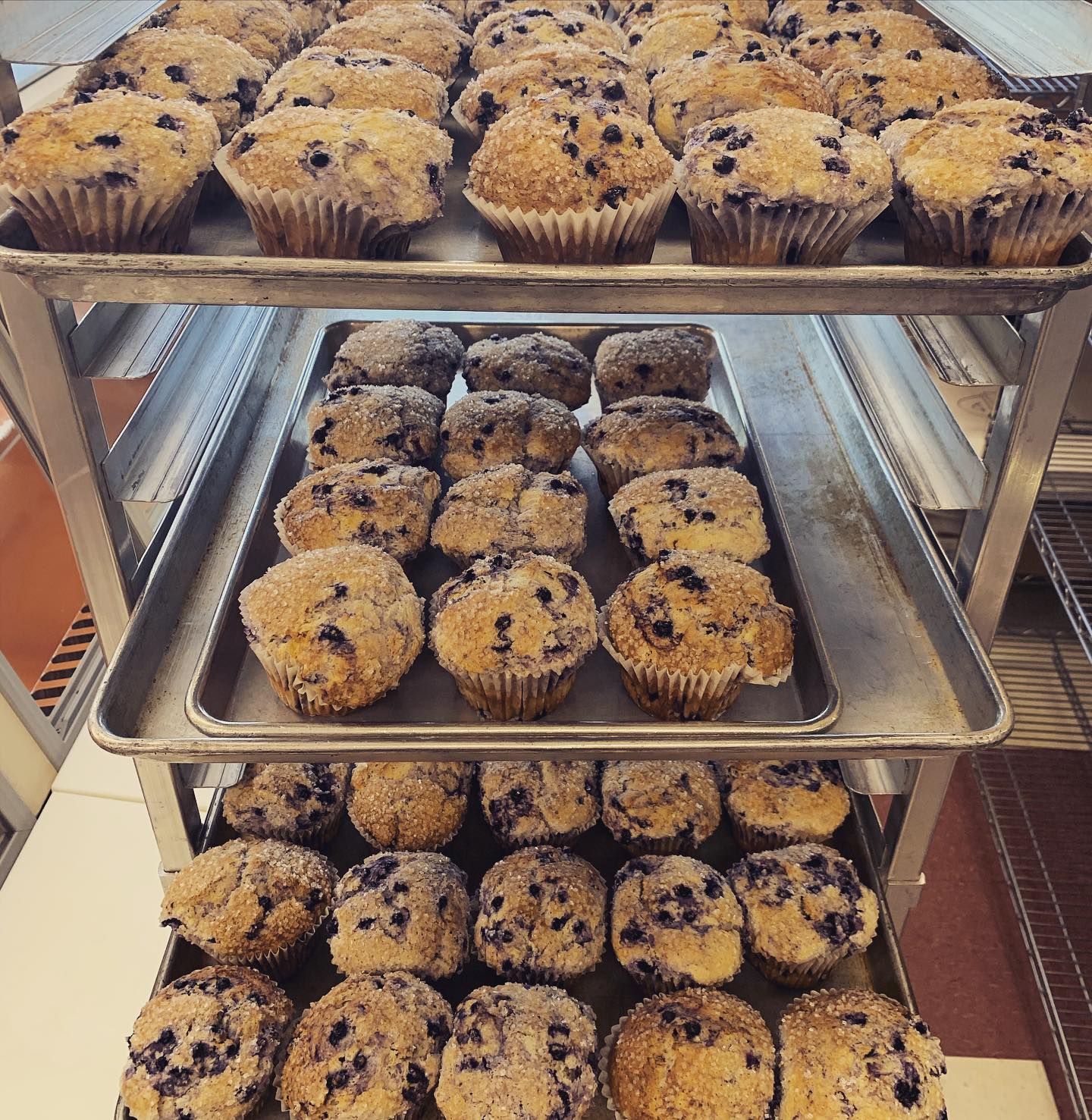 V G's Bakery 11552 Kingston Pike, Knoxville