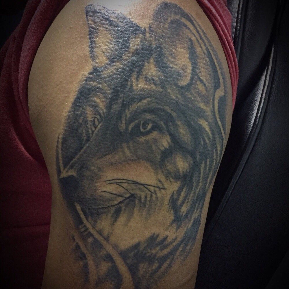 Photo credit: 