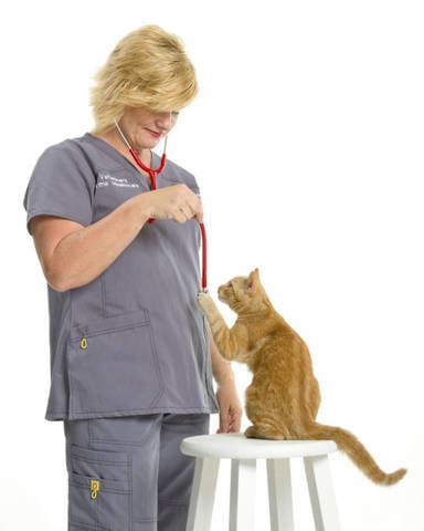 Veterinary Home Healthcare