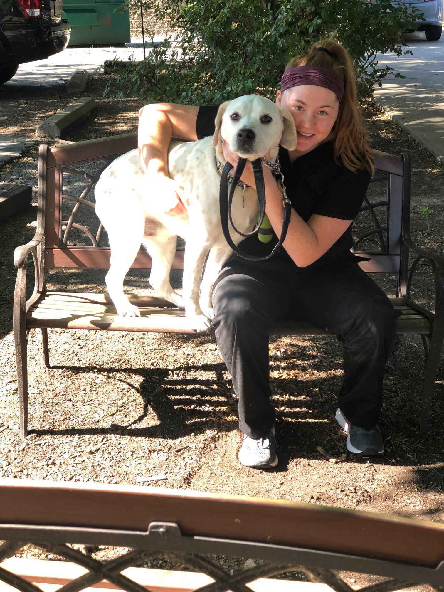 Green Hills Kennels Nashville