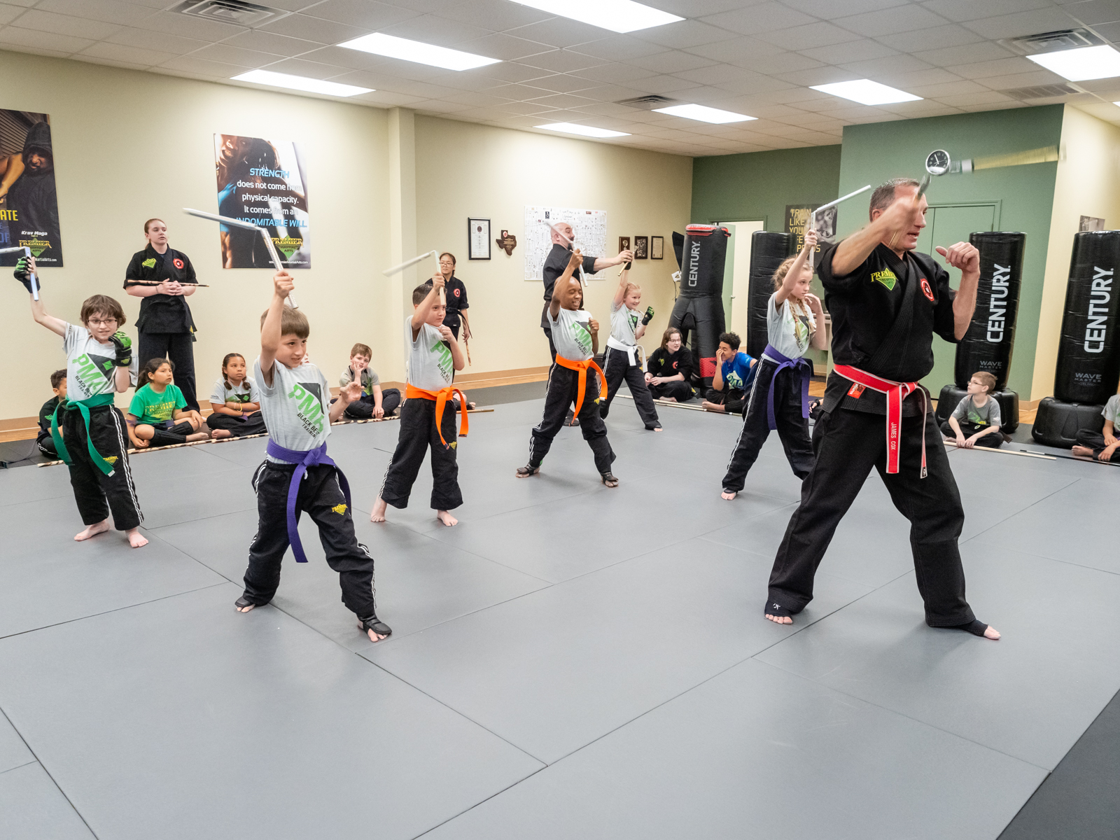 Premier Martial Arts Wylie