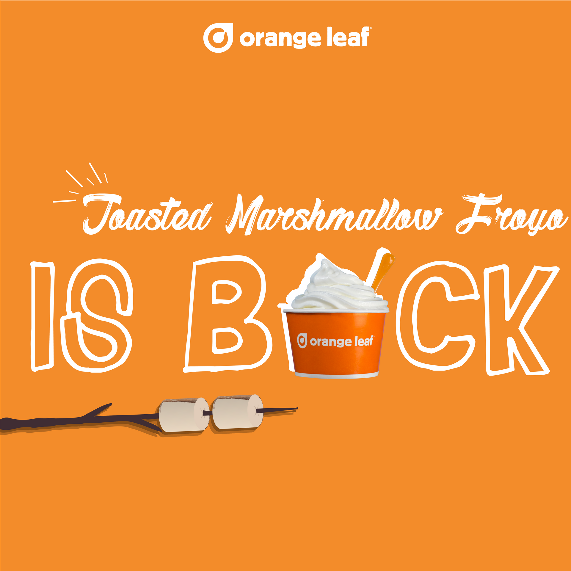 Orange Leaf Frozen Yogurt 2207 S Western St Suite 120, Amarillo