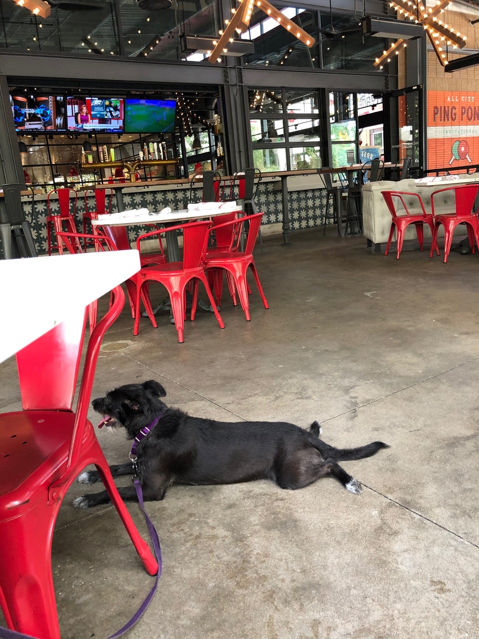 Culinary Dropout 11721 Rock Rose Ave Ste #100, Austin
