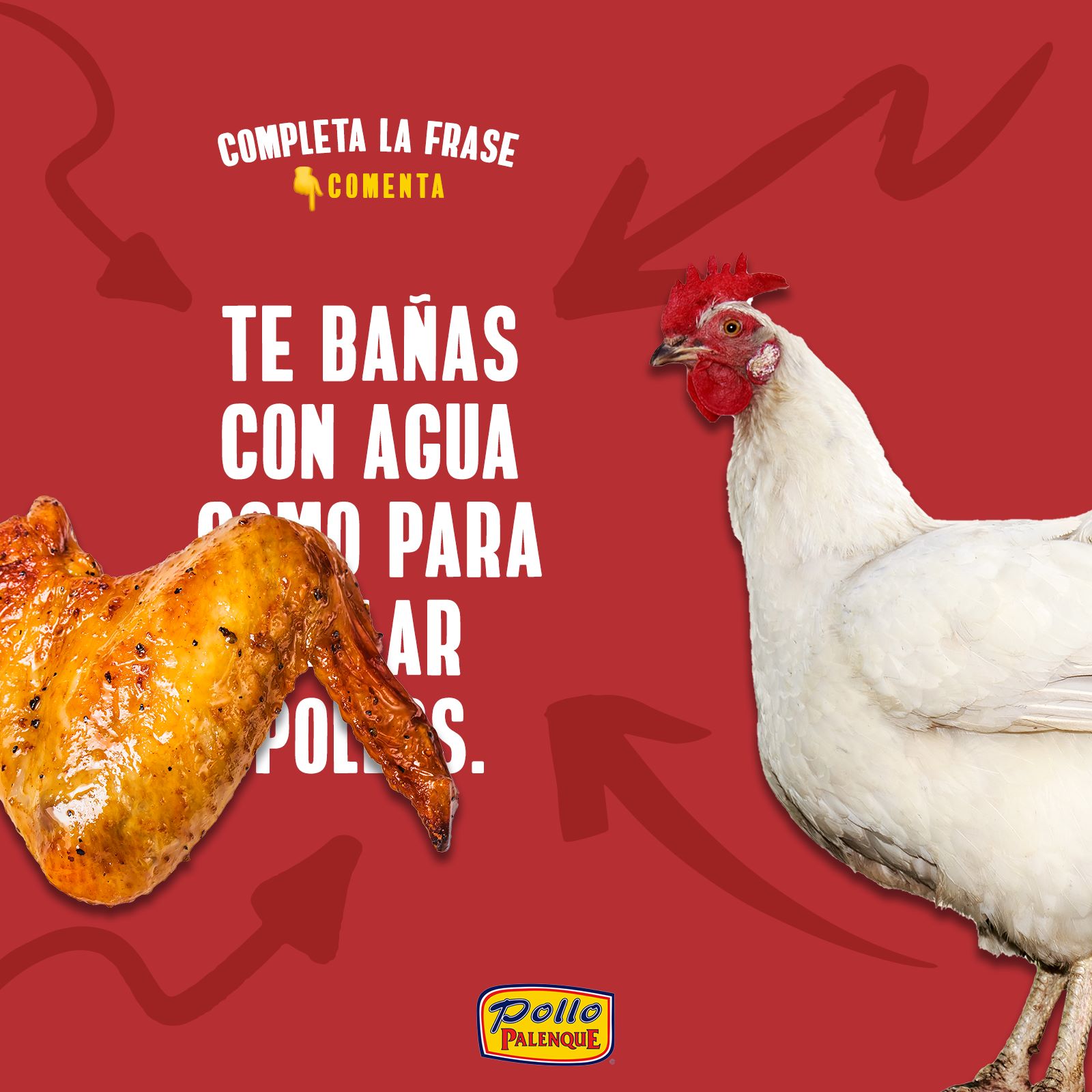 Pollo Palenque Brownsville 4157 US-77 B, Brownsville