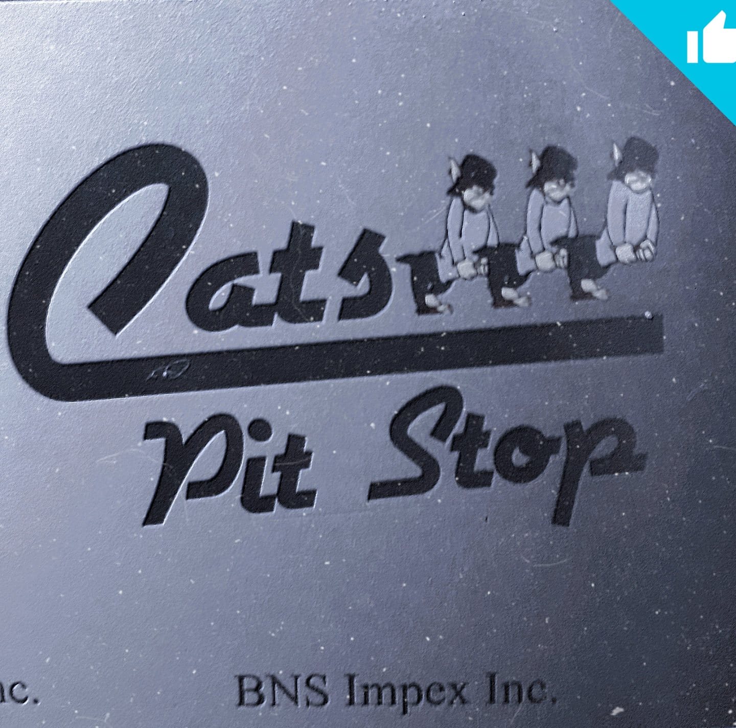 Cat's Pitt Stop
