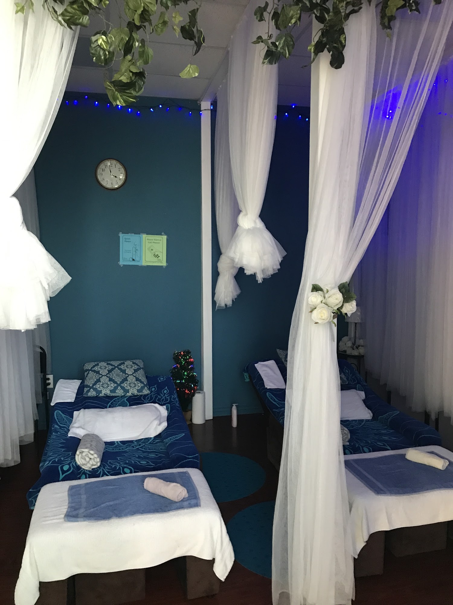 Foot Spa Park Massage