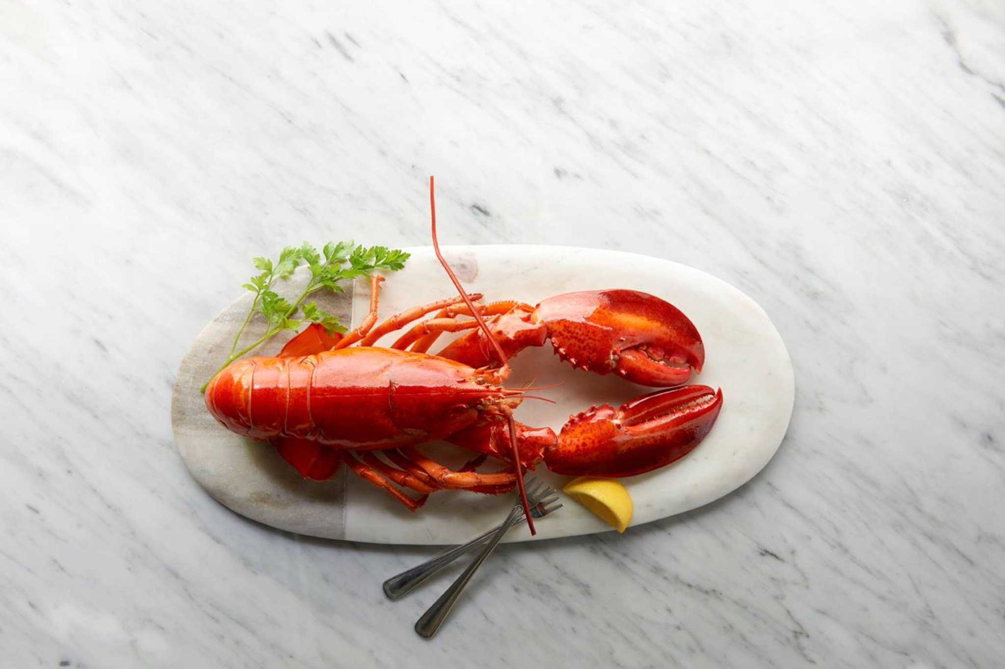 The Oceanaire Seafood Room 13340 Dallas Pkwy, Dallas