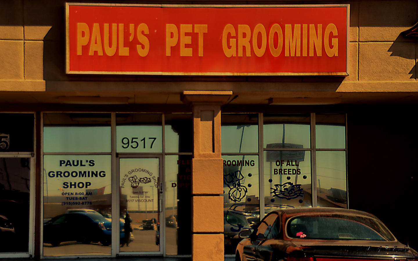 Paul's Pet Grooming Shop