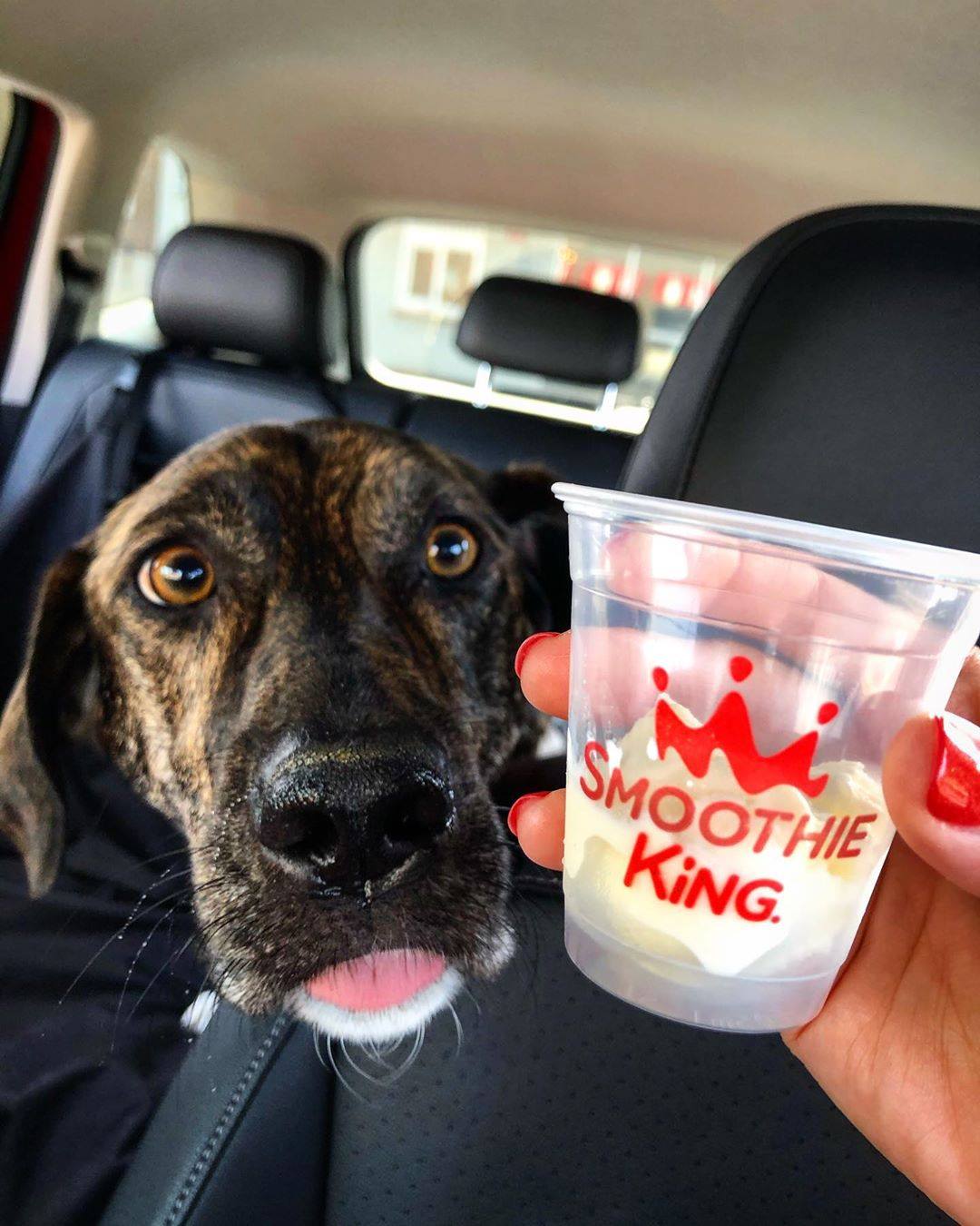 Smoothie King 4984 Main St Suite 100, Frisco