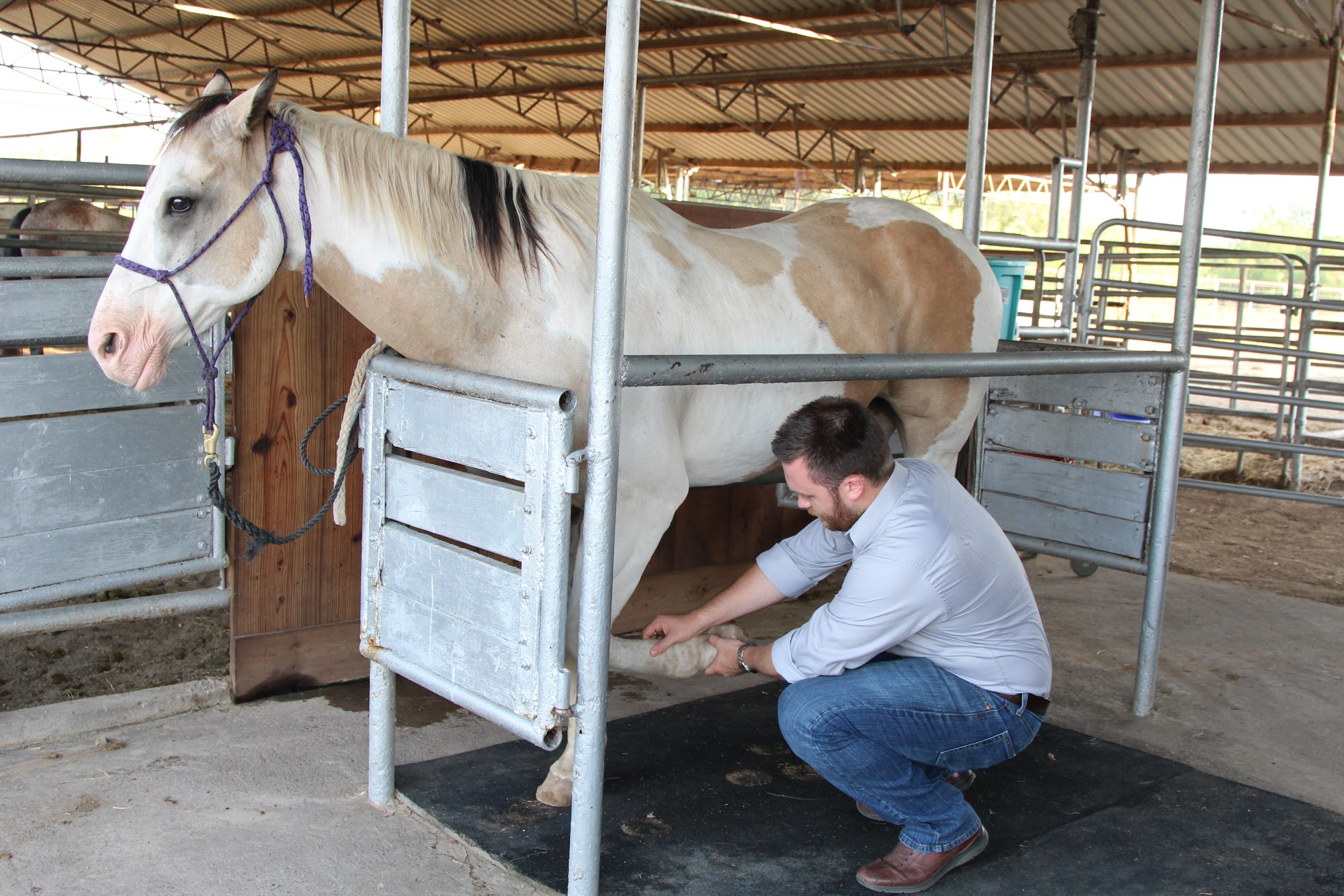 Wilkinson Veterinary Clinic Premont