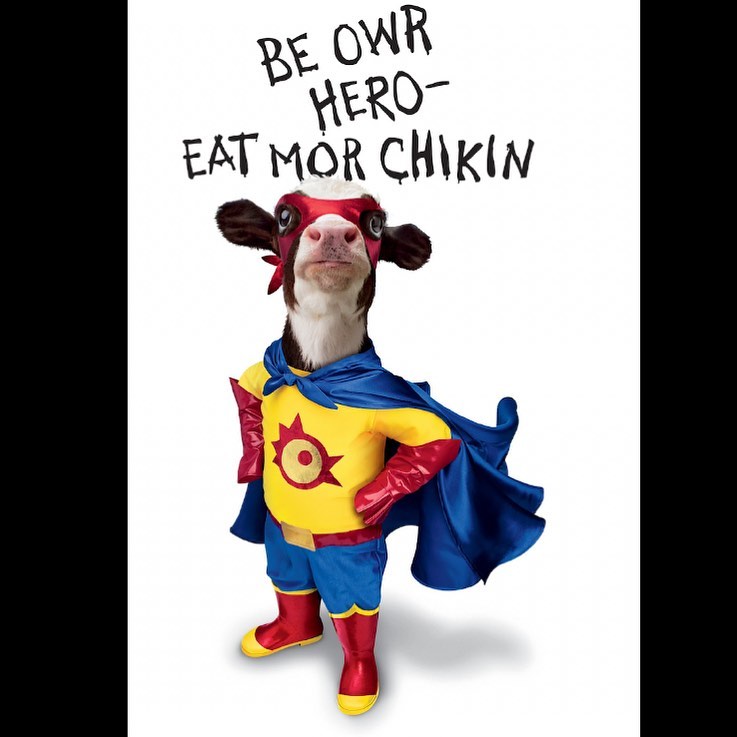 Chick-fil-A 8510 Spring Cypress Rd, Spring