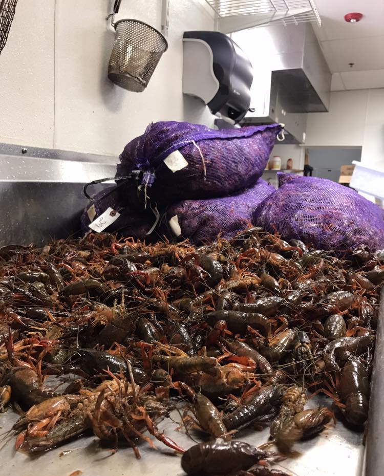 Crazy Cajun 16000 Stuebner Airline Rd Suite M, Spring