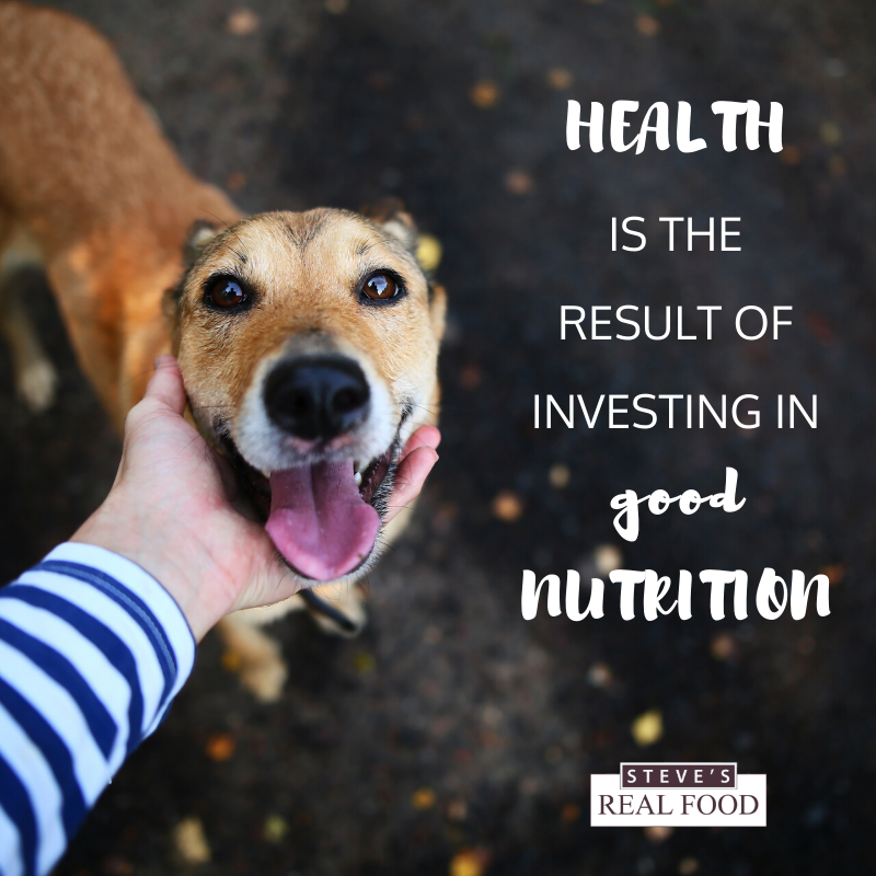 Raw Pet Food 2034 E Fort Union Blvd, Cottonwood Heights