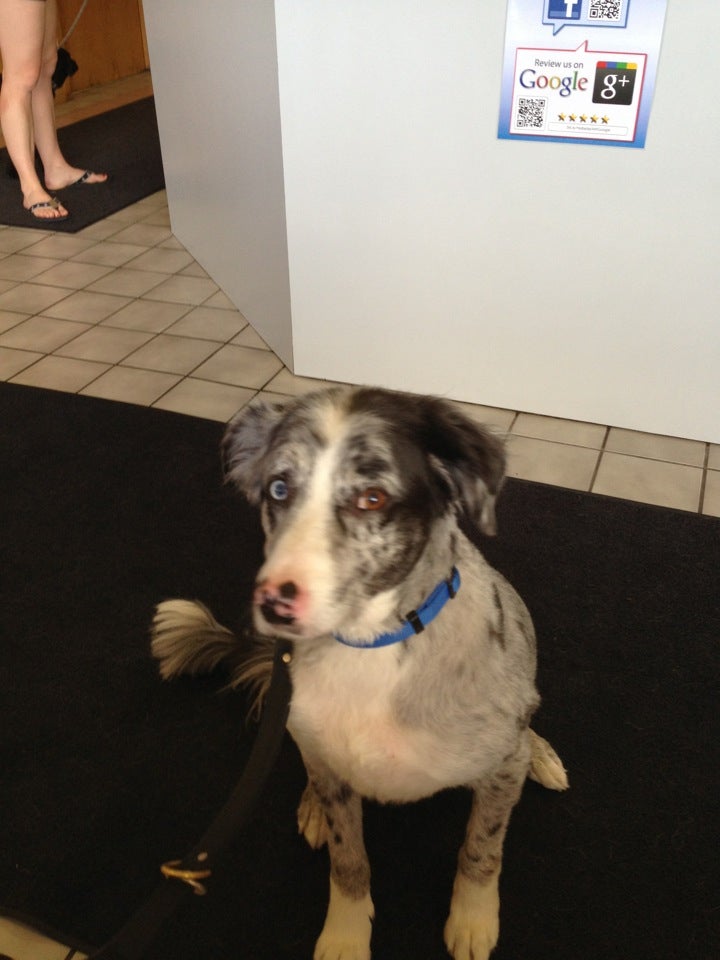 Holladay Veterinary Clinic 4732 Highland Dr, Millcreek