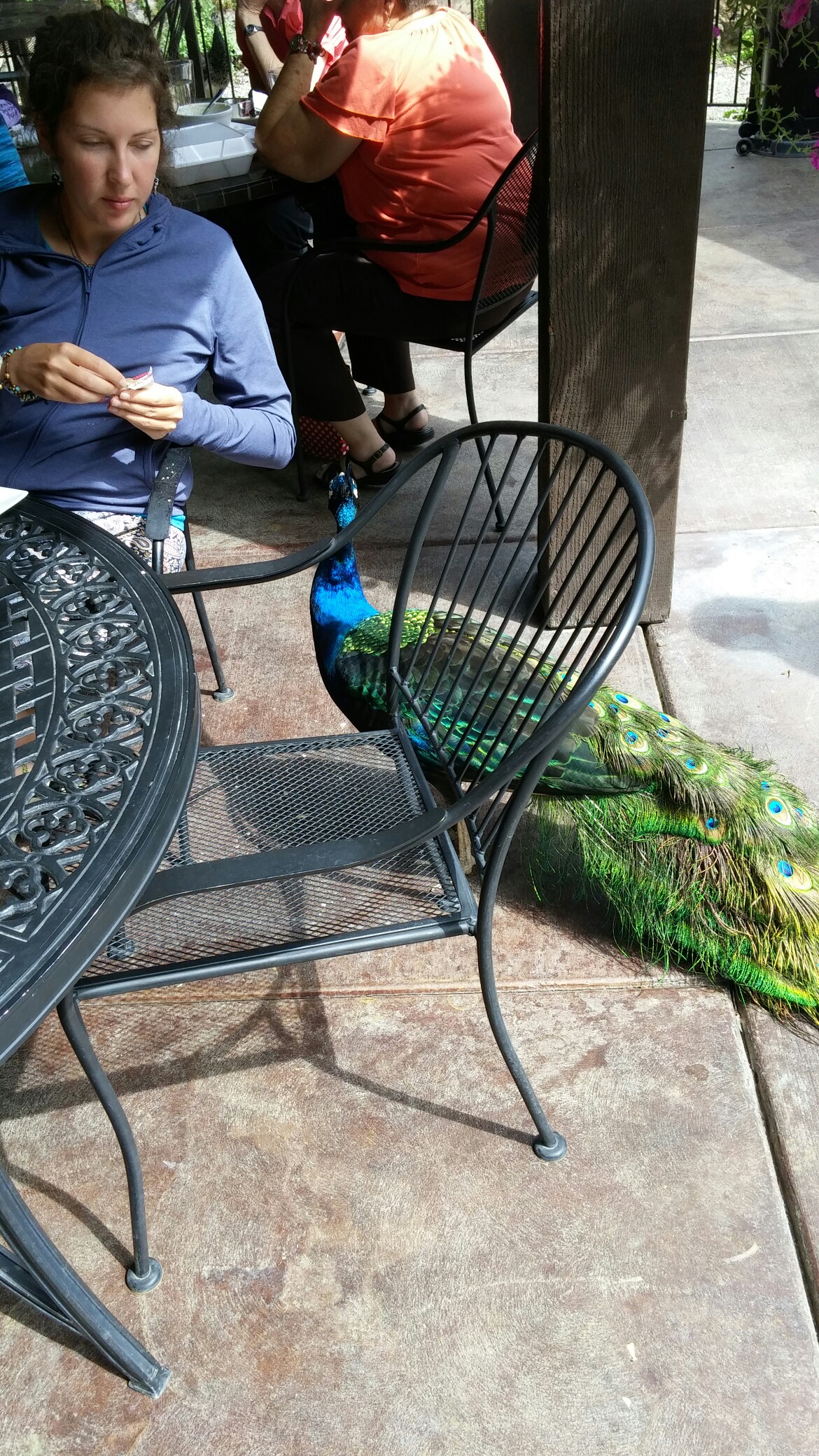 Photo credit: yellowpages