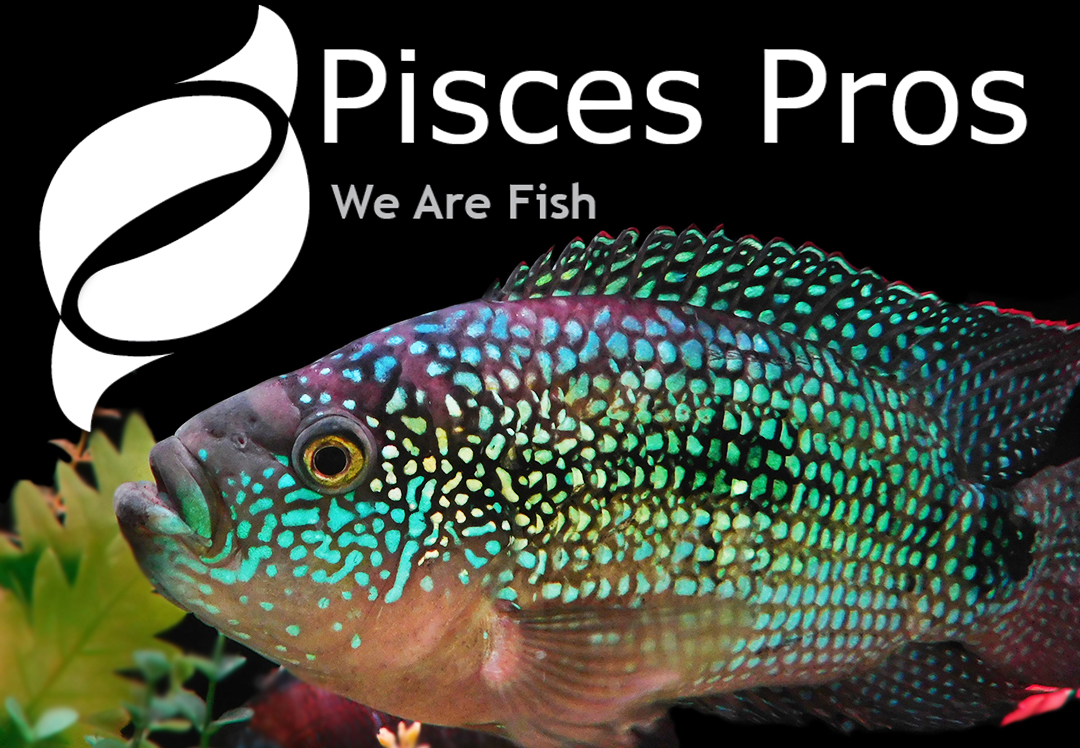 Pisces Pros