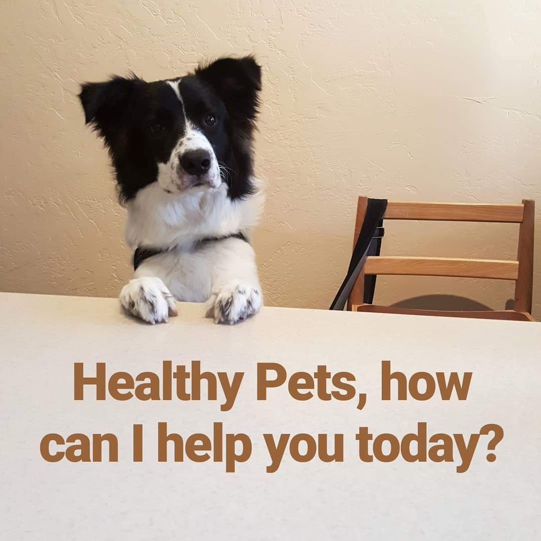 Healthy Pets Summit County
