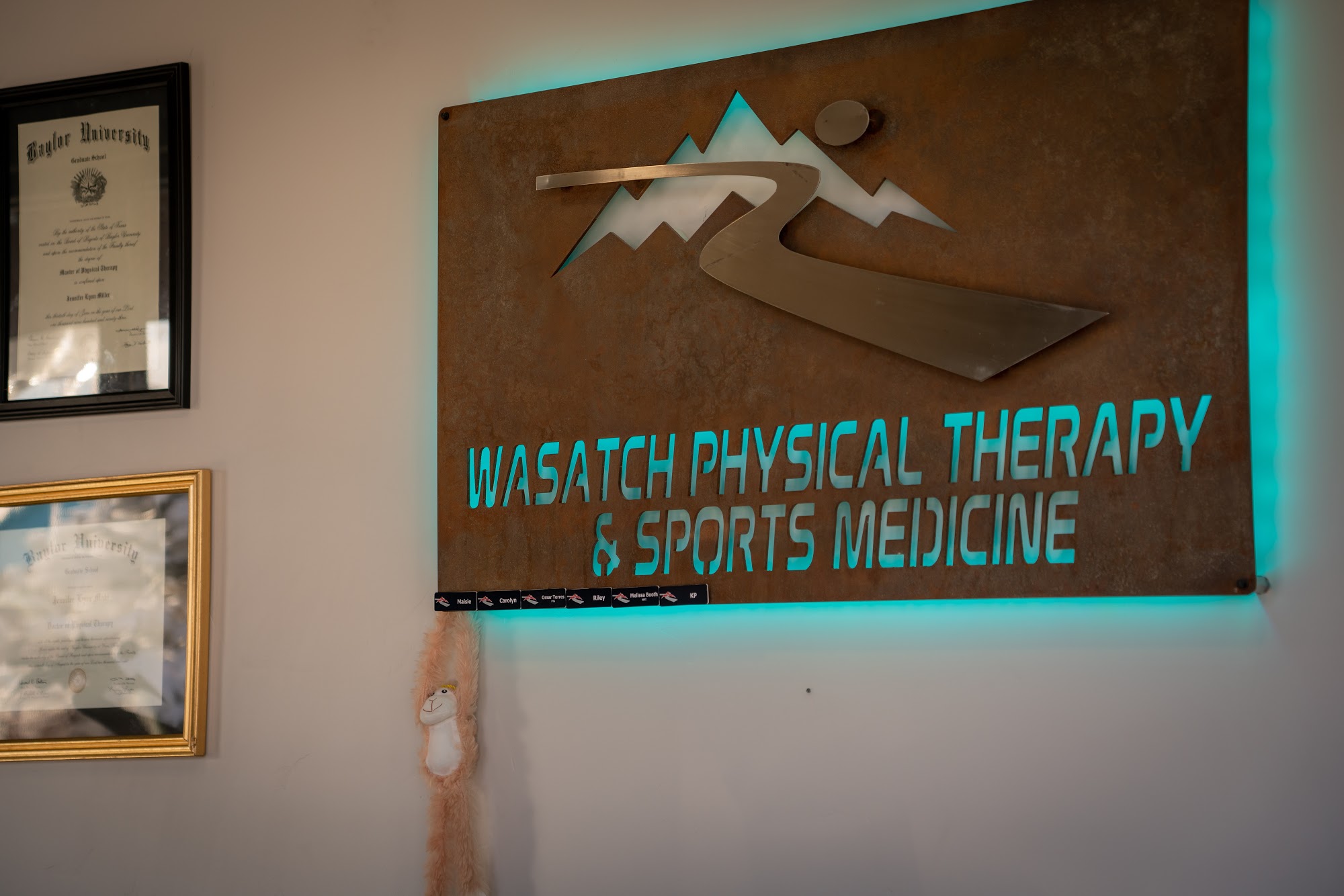 Wasatch Physical Therapy and Sports Medicine