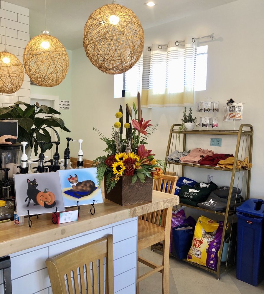 Tinker's Cat Café 302 E 900 S, Salt Lake City