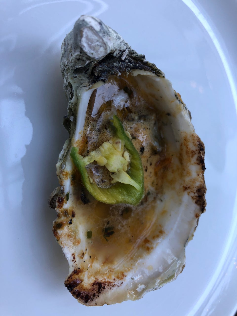 Current Fish and Oyster 279 E 300 S, Salt Lake City