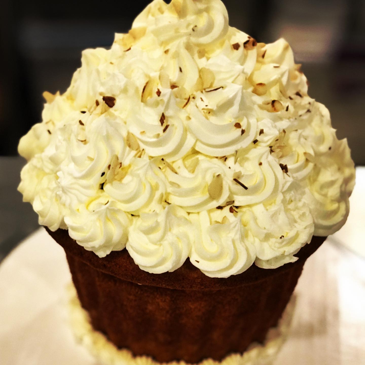 Alexandria Cupcake 1022 King St, Alexandria