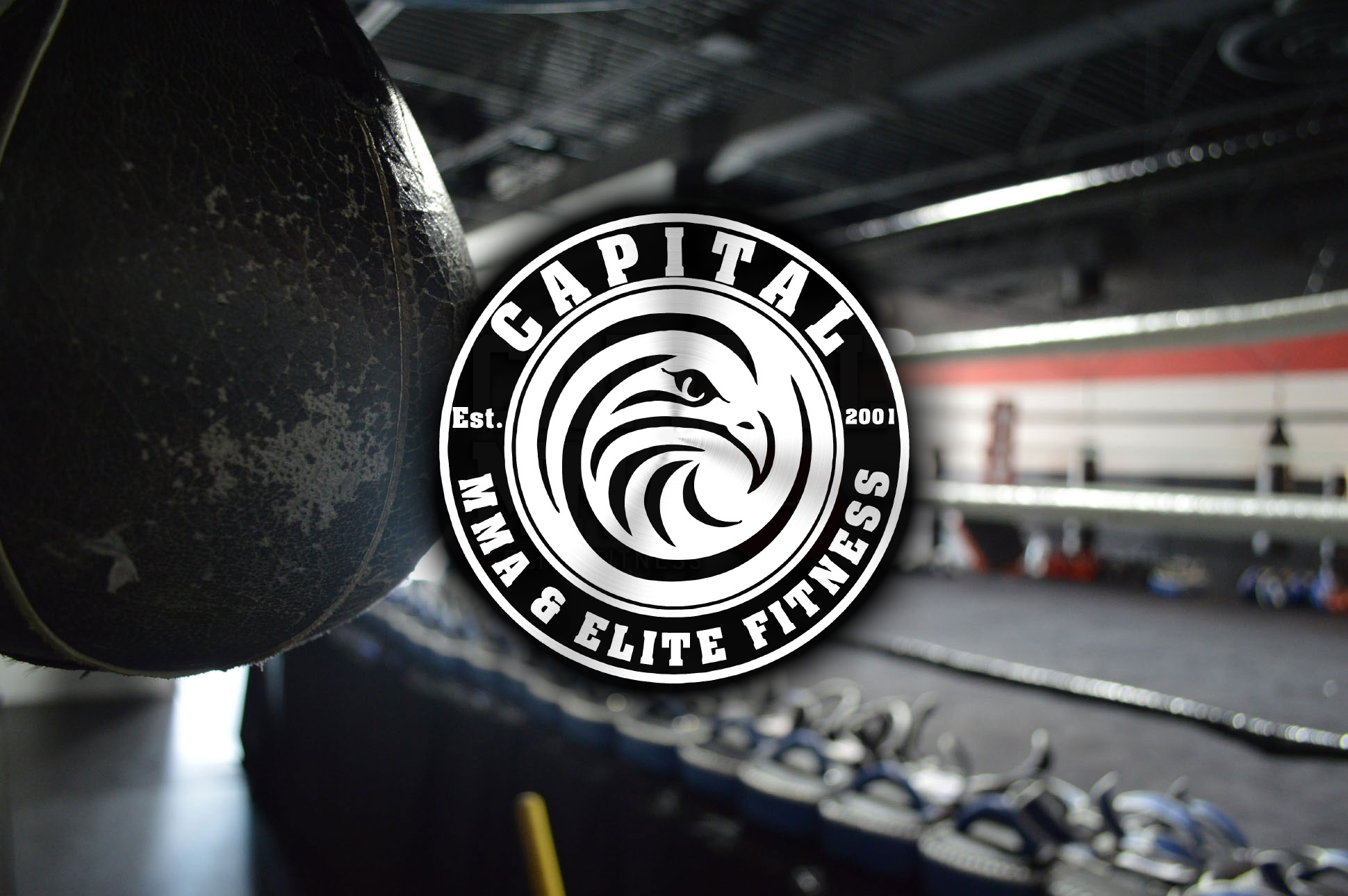 Capital MMA & Elite Fitness | Fairfax, VA