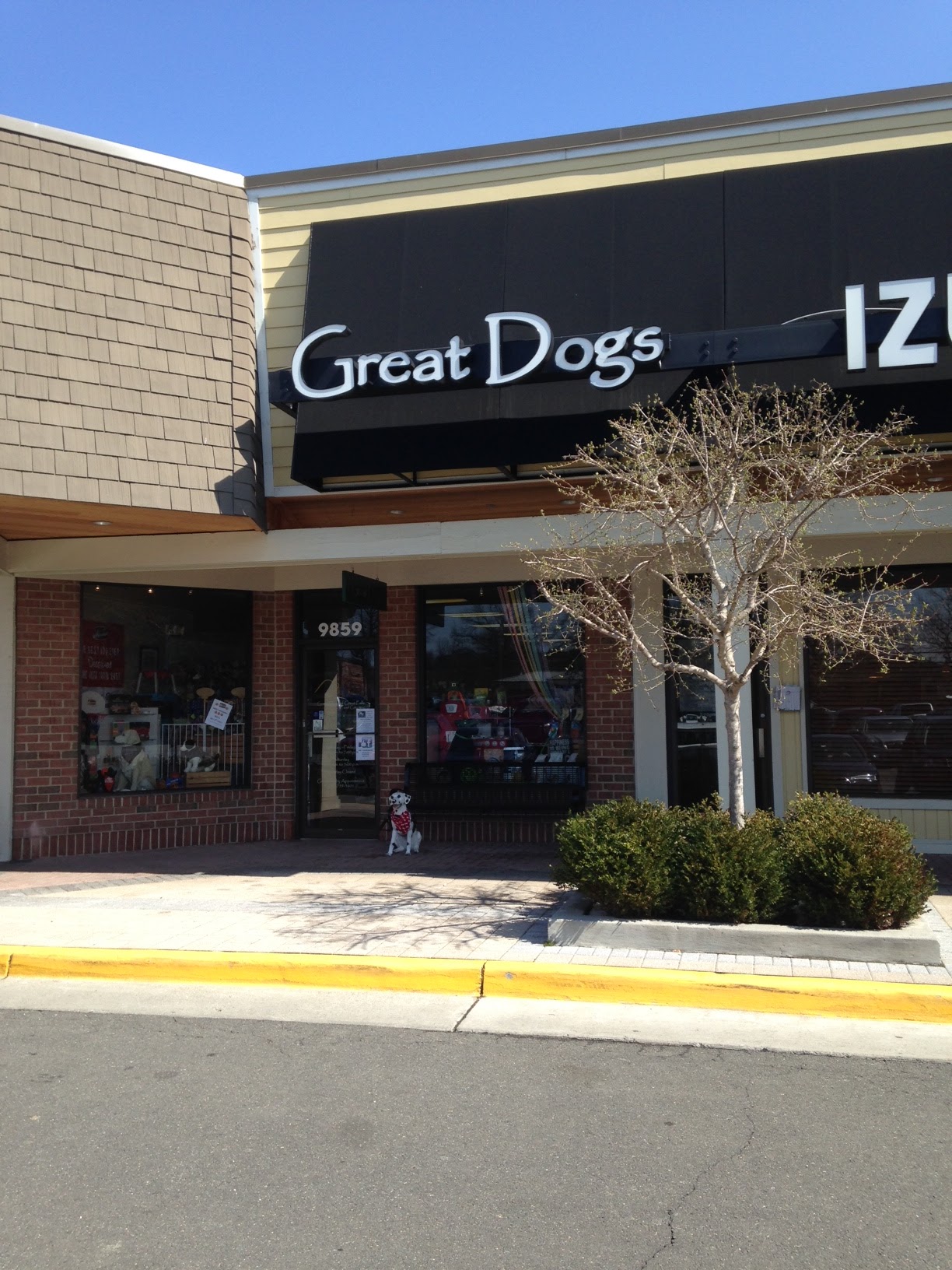 Great Dogs of Great Falls