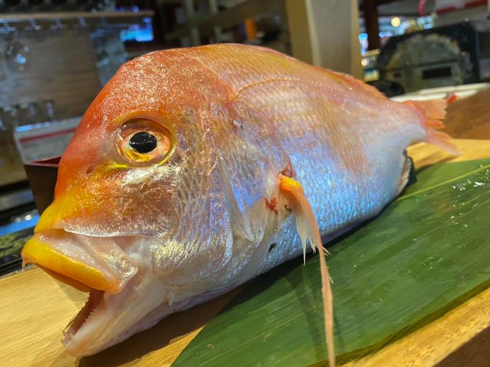Umi Japanese Cuisine 20 Dunn Dr, Stafford