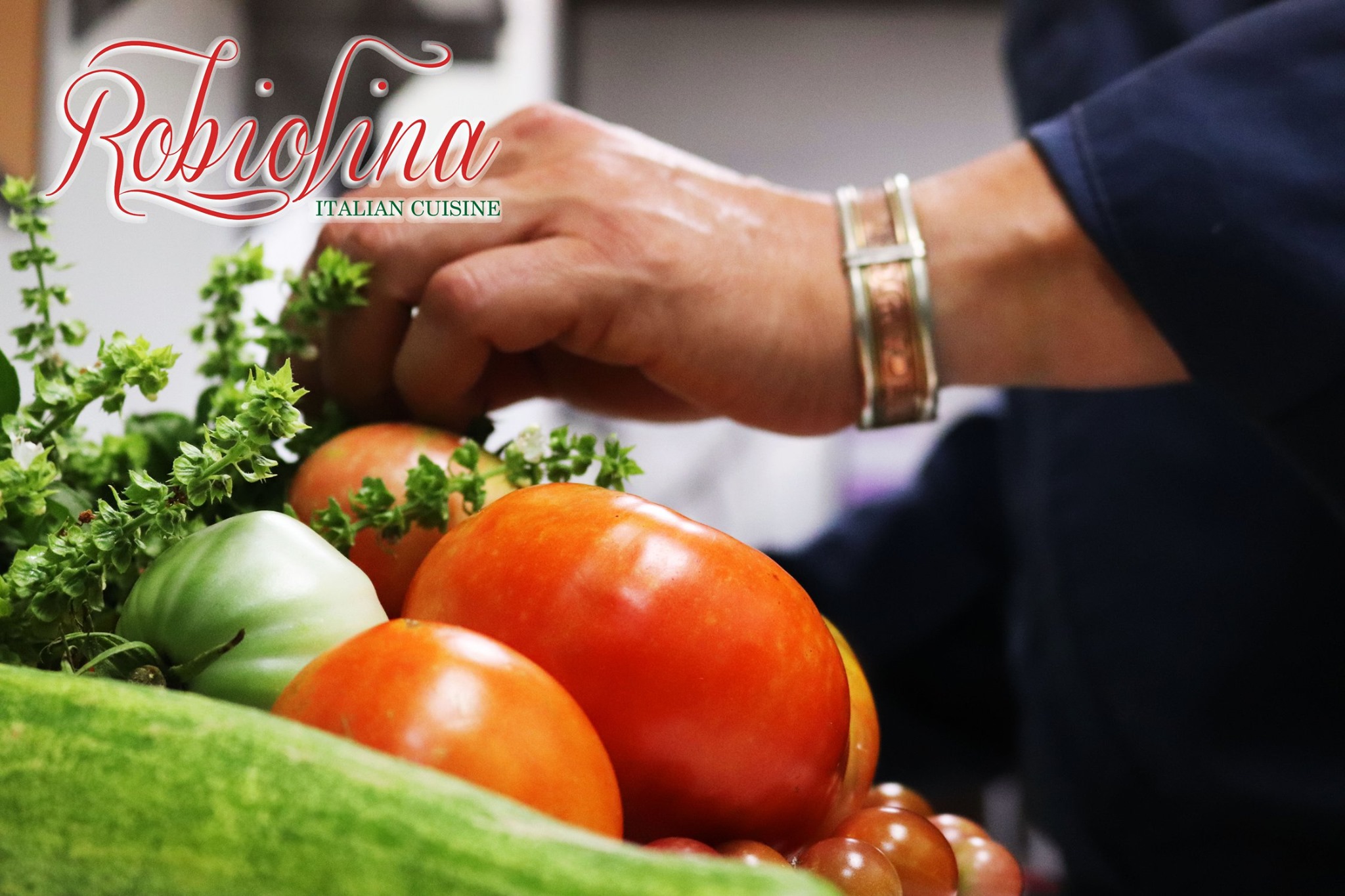 Robiolina Italian Cuisine 356 Garrisonville Rd, Stafford
