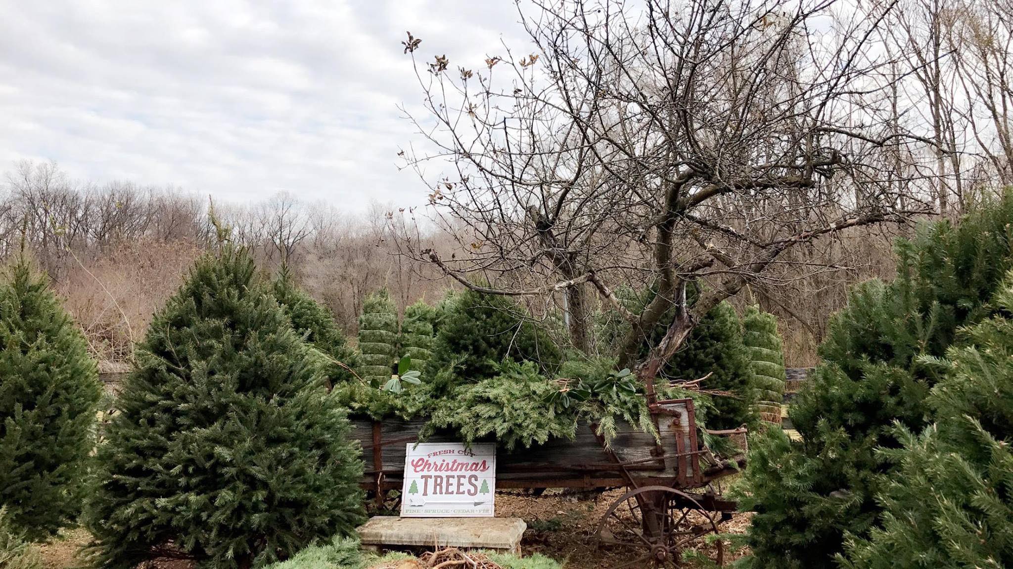 Spring Valley Farm Market- Winchester