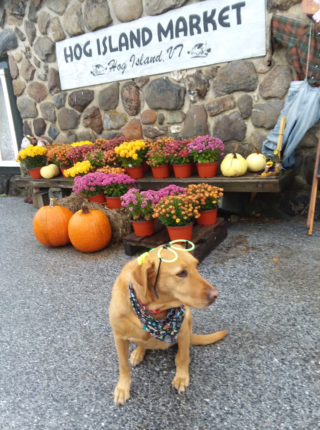 Hog Island Market 172 Lakewood Dr, Swanton