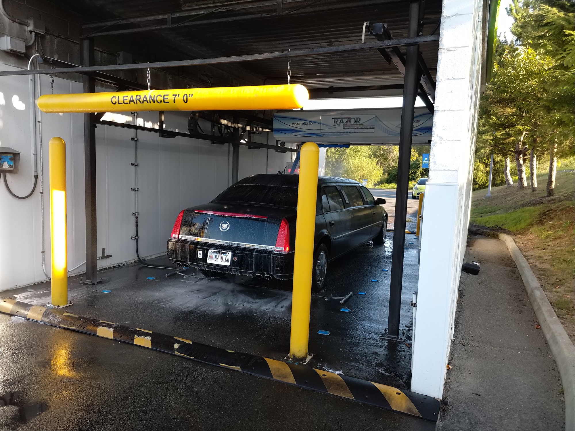 Brown Bear Car Wash