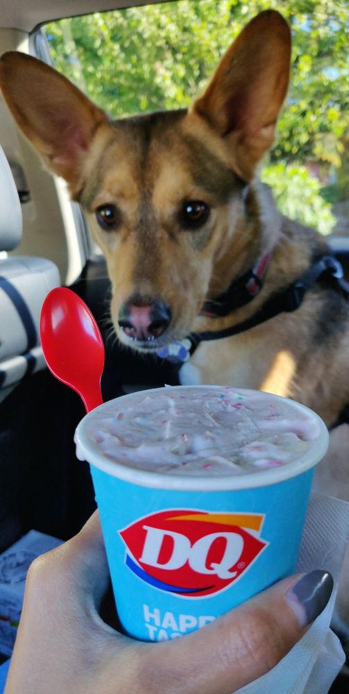 Dairy Queen Grill & Chill 6521 Evergreen Way, Everett