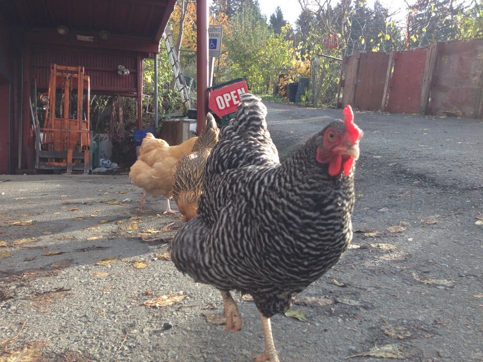 Photo credit: foursquare