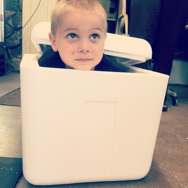 Cornell Veterinary Clinic Cornell