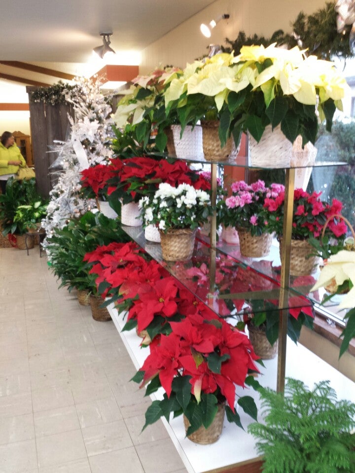 Country Flower Shop 3101 E Layton Ave, Cudahy