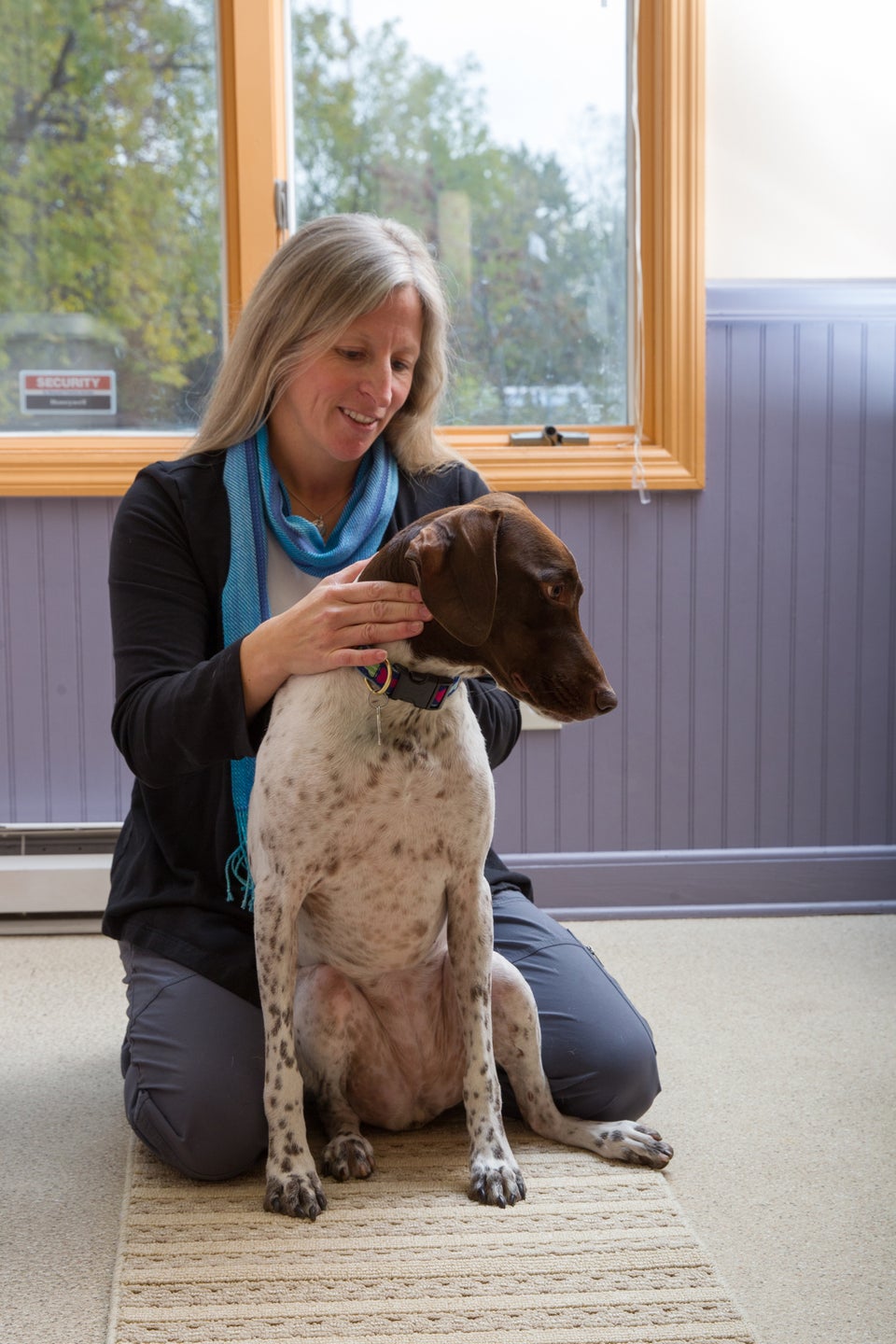 Silver Spring Animal Wellness Center 1405 W Silver Spring Dr, Glendale