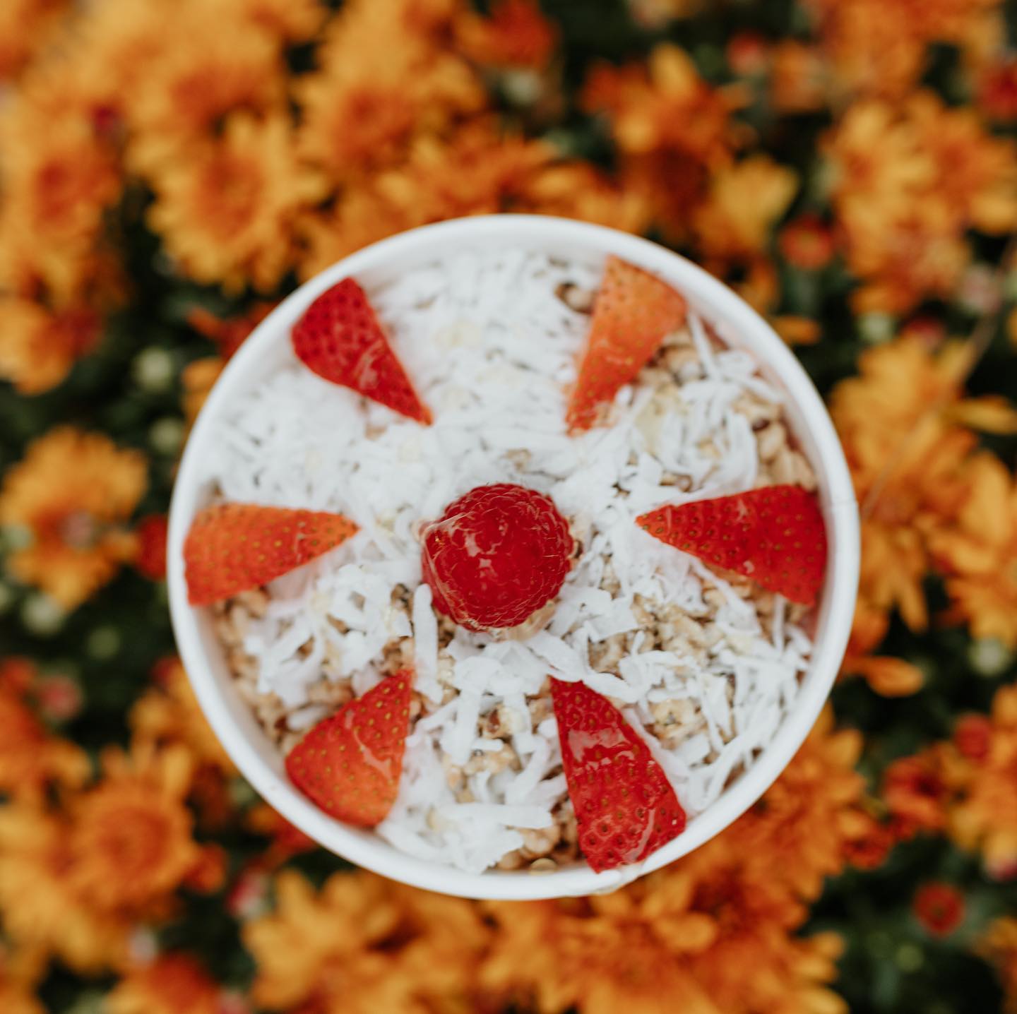 Blended, formerly known as Bowl of Heaven 717 Hilldale Way, Madison